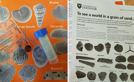 The world in a grain of sand.. Microfossils kit kindly supplied by Leicester University